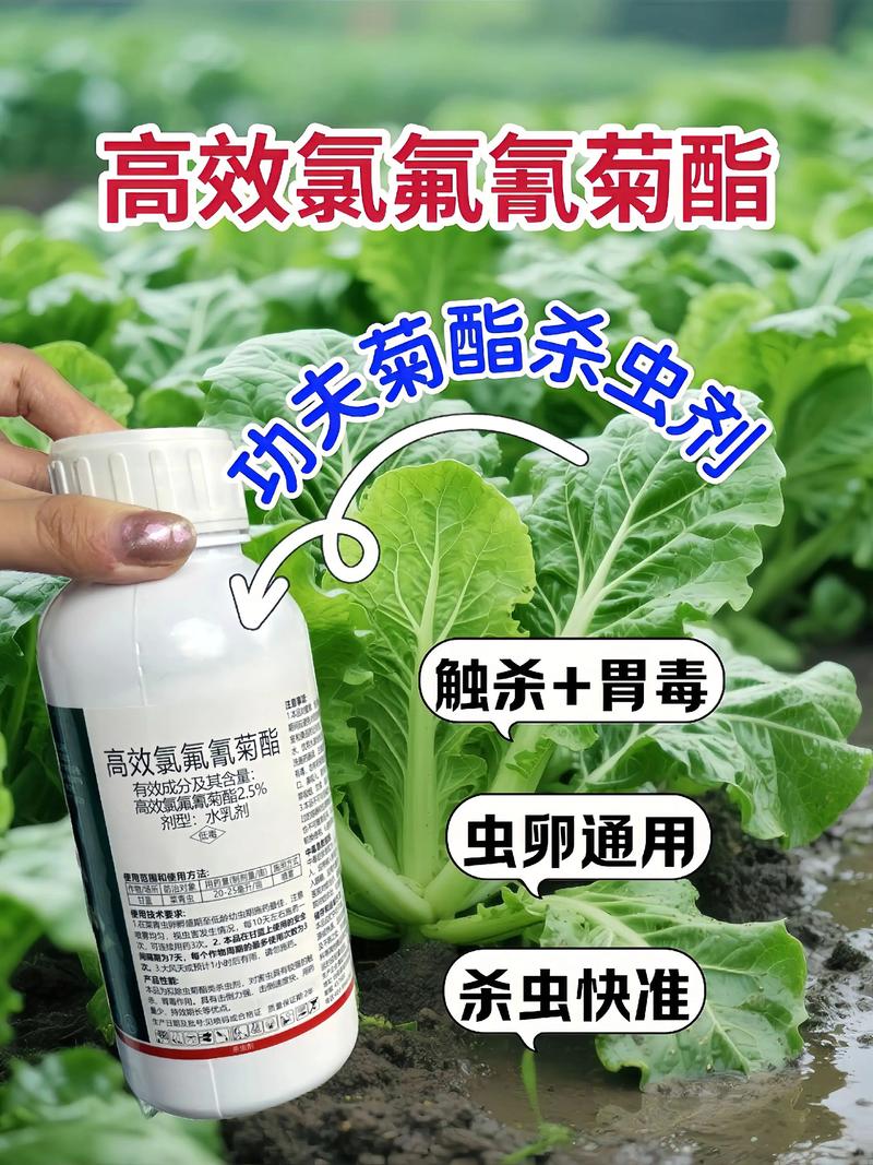 佳木斯代生中心:农药对供卵代生妈妈的危害